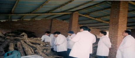 2003年日本客商到武汉公司考察葛粉加工和贸易合作洽谈 